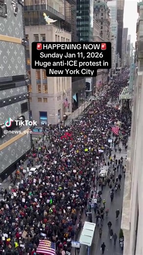 1/11/26- Thousands gathered to protest ICE and Trump this weekend all across America after the murder of Renee Good by an ICE agent. Two more people were shot the following day but survived. #globaltiktok #iceout #politics #protest #impeachment