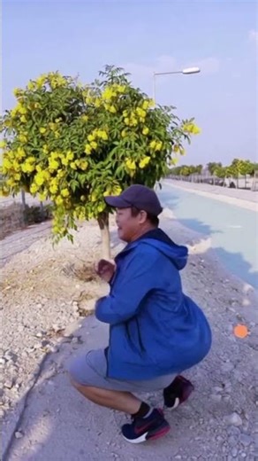 #shorts #wfs #trending #youtubereels