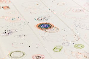 HEXBUG Activity Ideas