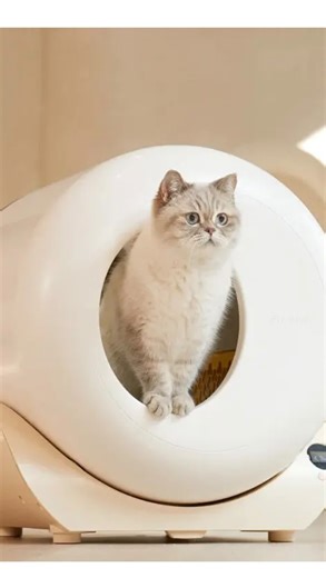 Daily Meowments on Instagram: "Living with cats means litter box moments are just part of everyday life. That’s why I appreciate things that actually make the routine easier and less messy. I’ve been using this litter box from @furrytail__official and I like how simple and well thought out it is. It connects to an app and has a built in light, which surprisingly makes a difference during daily use. No drama, no extra steps just something that works with real cat life 🐾 If you’re curious, you ca