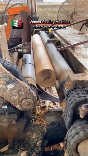 43 reactions · 8 comments | Plywood Manufacturing (Veneer Making Process). Watch This! #woodworking #woodwork #veneers #manaypeps | Efigenia Lustre | Facebook