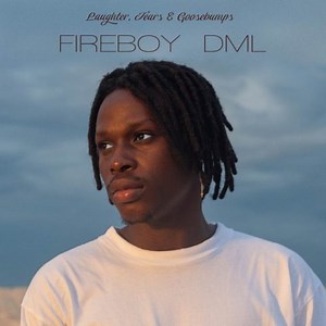 FireBoy DML - Like I Do