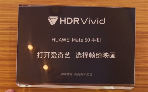 串流平台尊贵VIP画质的背后，双Vivid让你与艺术家同视界共聆听