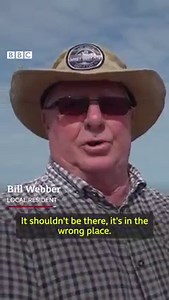 5.7K views · 105 reactions | Harry Potter fans want Dobby's grave saved | BBC Wales News | Facebook