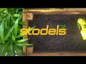 🌱🍅 Learn how to grow your own veggies from seeds with Stodels 🌱🥕
