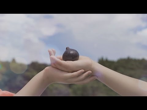 ふるさとＣＭ2023「黒いダイヤモンドが紡ぐ永遠の絆」 石川県宝達志水町