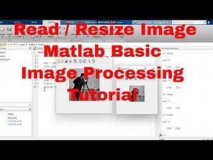 Matlab image processing tutorial for beginners / Read and resize image in Matlab code
