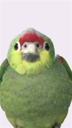 バナナって聞こえる