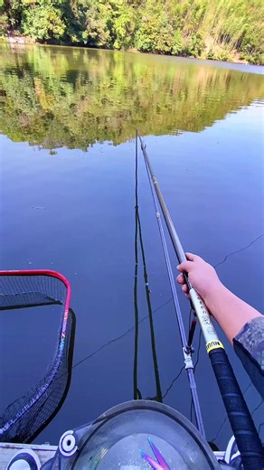 Ultimate Guide to Ultralight Fishing Rods