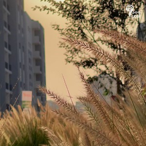 Live an urban life in a gated parkside community at wasl village in Al Qusais, and enjoy a wide range of facilities that cater to the whole family. Studios, 1, 2 and 3-bedroom apartments available for lease in a brand-new building. * Rents start from AED 25,000 * Convenient monthly instalment plans * Easy and quick e-services * 24/7 on-demand service | wasl group