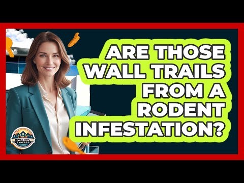 Are Those Wall Trails From A Rodent Infestation?