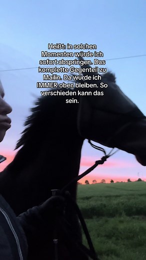 Kleiner Abendspaziergang mit einem Knallfrosch. 👹🫢🐎 Ig: barbarella_s_ #pferdemädchen #pferdeamhaus #pferdetiktok #fy