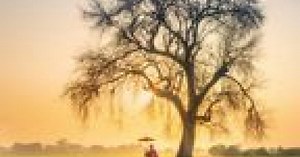 What Can a Buddhist Monk Teach Us About Panic and the Brain?