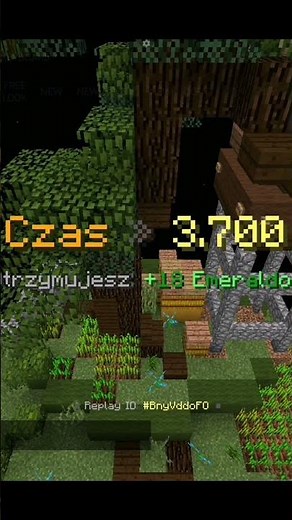 Top Movement #shorts #minecraft #movement