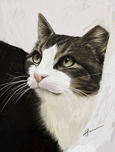 How To Paint A Cat On The iPad Pro – Digital Painting Tutorial
