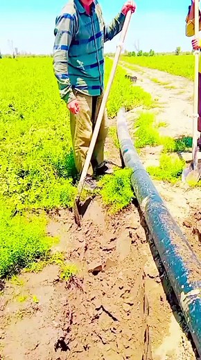 fffffffffffffwwwwwwww,،😂😂😂😂😂😂🤣🤣🤣🤣🤣🤣🤣