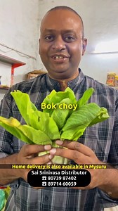 13K views · 71 reactions | All types of exotic vegetables, vegetables required for weddings and other functions and for all types of frozen foods Home delivery is also available through Zomato and Swiggy Contact: Sai Srinivasa Distributor, Devaraja market, Mysuru ☎ 80739 87402 ☎ 89714 60059 #exoticvegetables #frozenfood | Sudeesh Kottikkal ಸುದೀಶ್ ಕೊಟ್ಟಿಕ್ಕಲ್ | Facebook