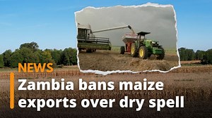 11 reactions | Zambia has since cracked down on known smuggling routes, while security patrols and roadblocks are also being increased. | K24 TV | Facebook