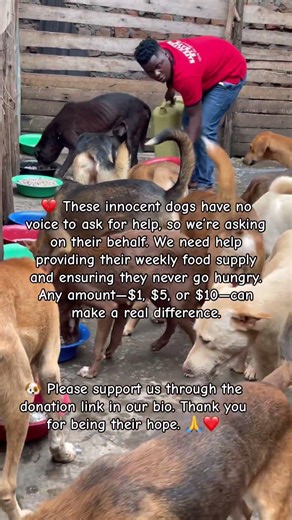 Donate through the link in bio or via bank transfer/Remitly. ❤️