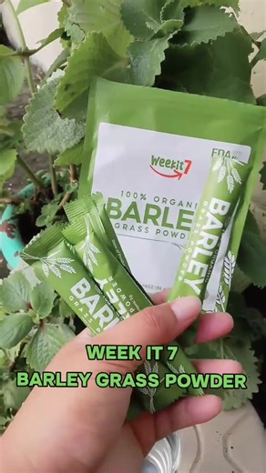 Barley Grass Powder Benefits for a Healthy Lifestyle
