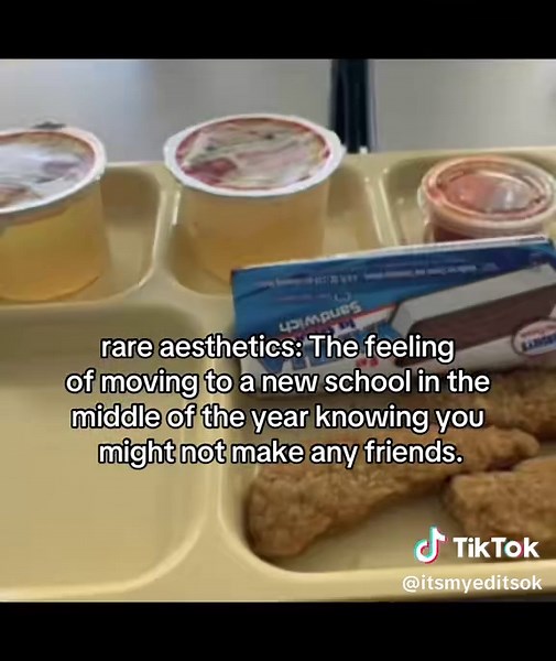 Navigating School Life: Real Experiences and Challenges