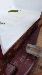 1.2M views · 4.2K reactions | Fridge door not closeing properly/#reels/#reelsfb/#reel/#fb/#trending/#vairal/#tiktok | Simple solutions | Facebook