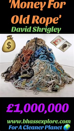 The Art of Cleaning Our Coastlines: Join the Movement