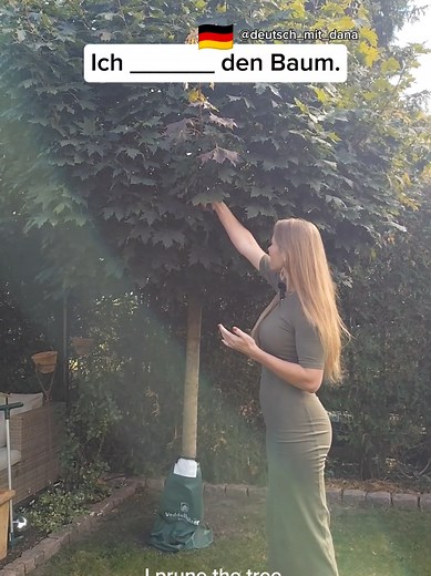 Vokabeltraining: Verben für die Gartenarbeit auf Deutsch
