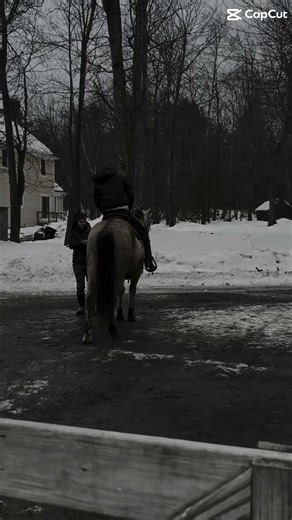 Motorcycle Drive Time #western #trending #equestrian #fypシ゚viral #horsegirl #horseriding