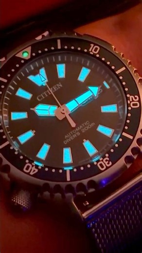 Citizen #promaster #fugu #divewatch #citizen #watch #watches #watchcollection