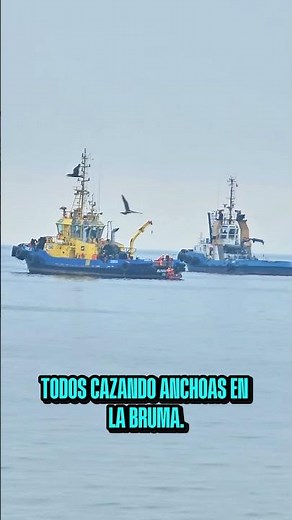 Ruta por Chile: despertando en Mejillones