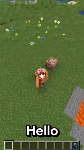 How to eat a Befehlsblock in MINECRAFT⁉️