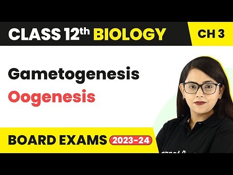 Class 12 Biology Chapter 3 | Gametogenesis: Oogenesis - Human Reproduction CBSE/NEET (2022-23)