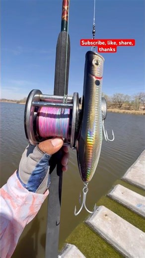 Casting a Level Wind Penn with a Topwater#fishing#viralvideo#shortvideo#youtubeshorts#shorts#tips