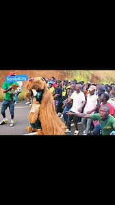 26K views · 803 reactions | Sandy Blog on Reels | Facebook