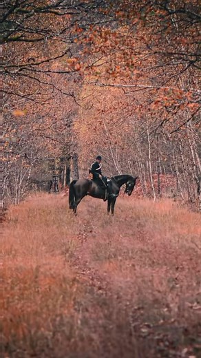 57K views · 998 reactions |  Retour en images sur une belle semaine...