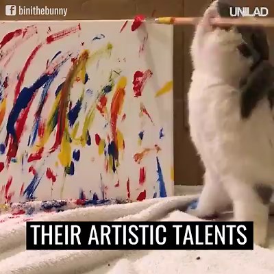 7.8M views · 152K reactions | Happy International Rabbit Day! They come in all shapes and sizes, but they make amazing pets  | UNILAD | Facebook