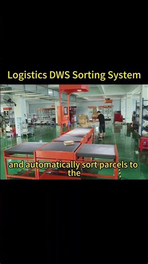 Package Sorting#logistics #package #conveyorbelt #automation #sorting #express #DWS #sortingmachine
