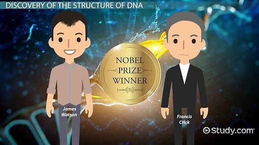 DNA: Discovery, Facts, Structure & Function in Heredity