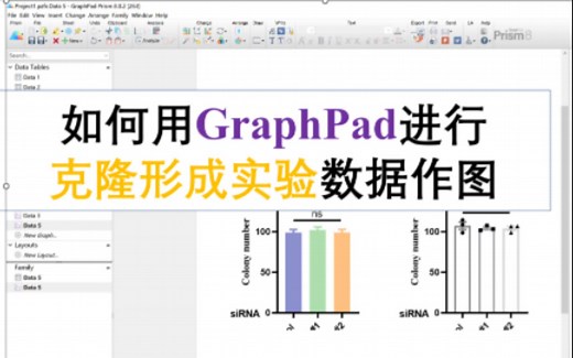 如何用GraphPad来进行克隆形成实验作图