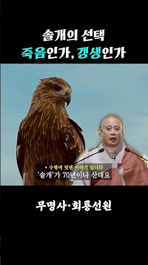 솔개의 선택 죽음인가, 갱생인가 67화 | 무명사 무명스님 | #무명사#무명스님#회룡선원#그대알겠는가#가피이야기 #업장#가피 #건강 #천도재