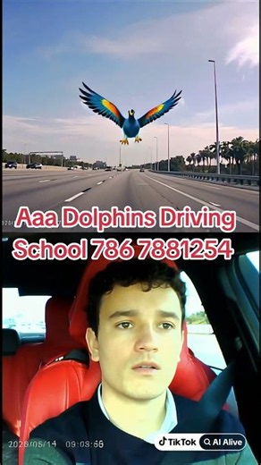 You are afraid to drive on highways, call us and you will become an expert.