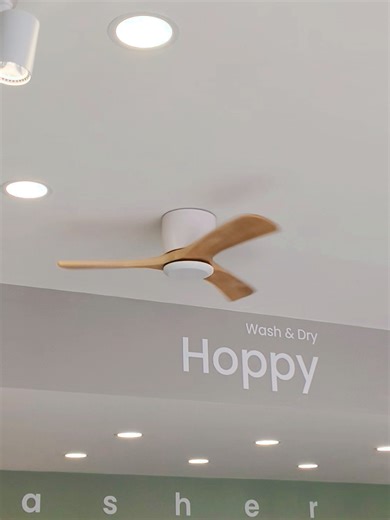 พัดลมมินิมอล น่ารักมาก🥰 #hoppy #ธุรกิจส่วนตัว #เจ้าของแบรนด์ #ElectroluxProfessional