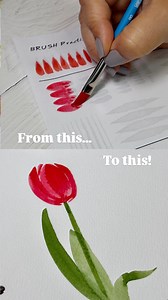 22K views · 3 comments | Every tulip starts with a stroke. Not a...