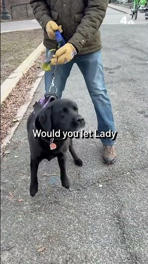 Do you feel safe touching the Potomac River? People give mixed reactions | NBC4 Washington