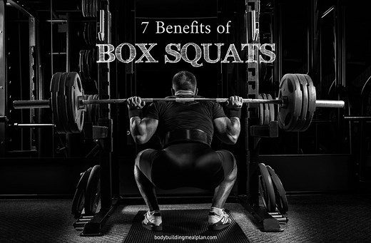 7 Benefits of Box Squats (& How to Box Squat Effectively)