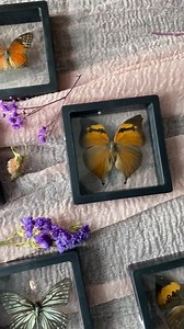 Square Floating Frames - Etsy