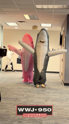 A shark attack in the WWJ Newsroom? Why not? Happy Halloween to all our listeners, from WWJ Newsradio 950! | WWJ Newsradio 950