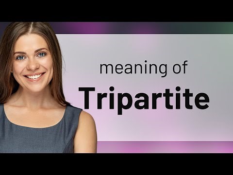 Tripartite — what is TRIPARTITE definition