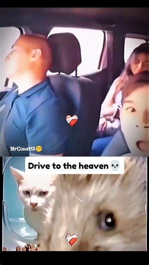 Bro💀#cat #funny #memes #phonkagressive #prank #bombastic #viralvideo #shorts